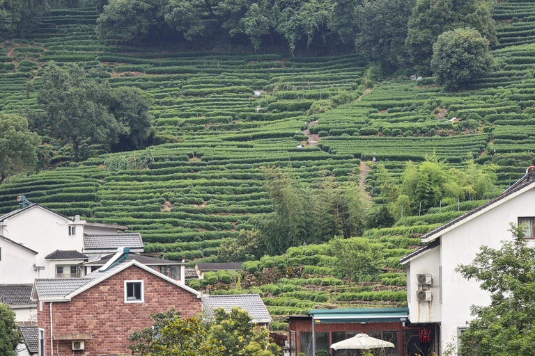 From Shanghai: Hangzhou Private Day Trip with Bullet Train