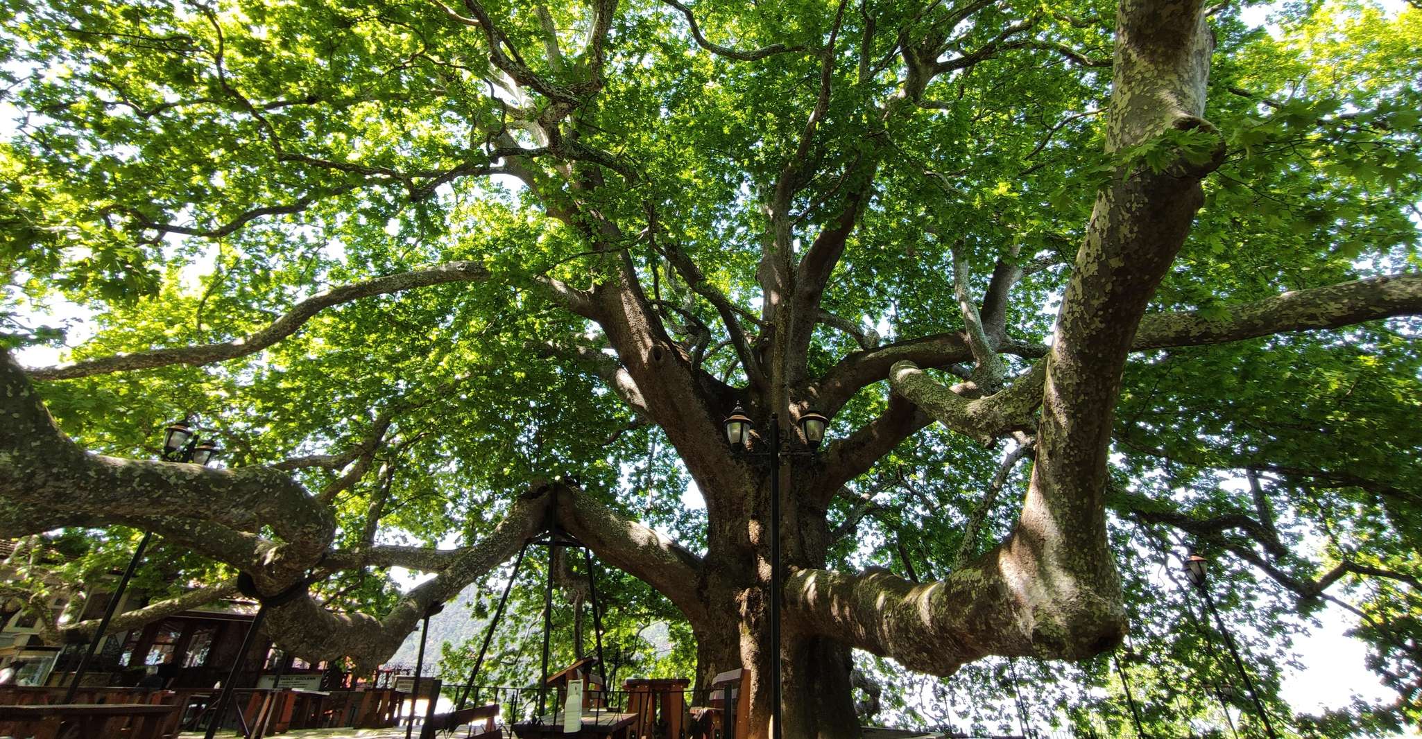 From Istanbul, Bursa and Uludag Bus Tour with Cable Car - Housity