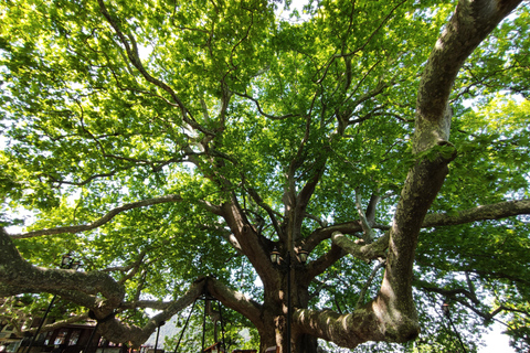 From Istanbul: Bursa and Uludag Bus Tour with Cable Car