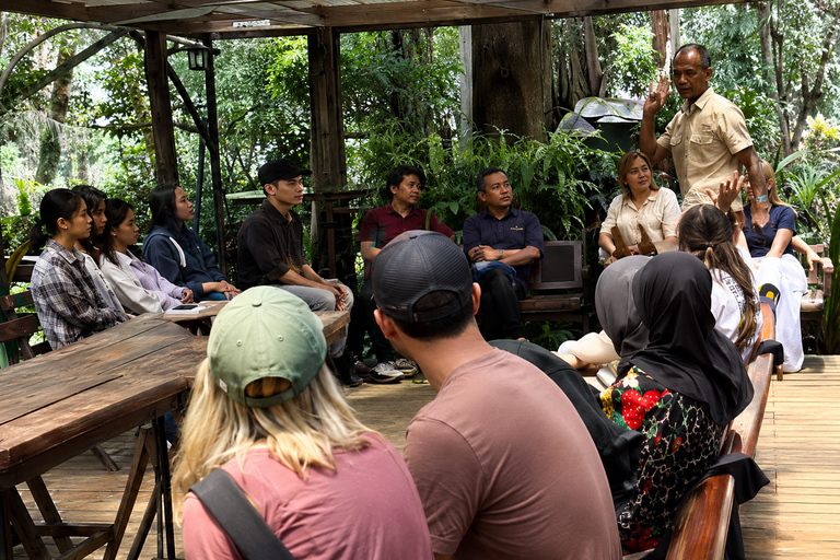 From Nairobi: Tea and Coffee Farm Tour with Tastings