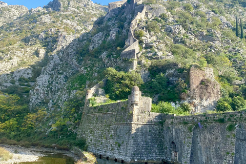 Baia Blu: Scopri Kotor e Perast