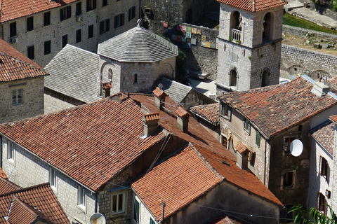 Découvrez le joyau caché de Perast et explorez Kotor