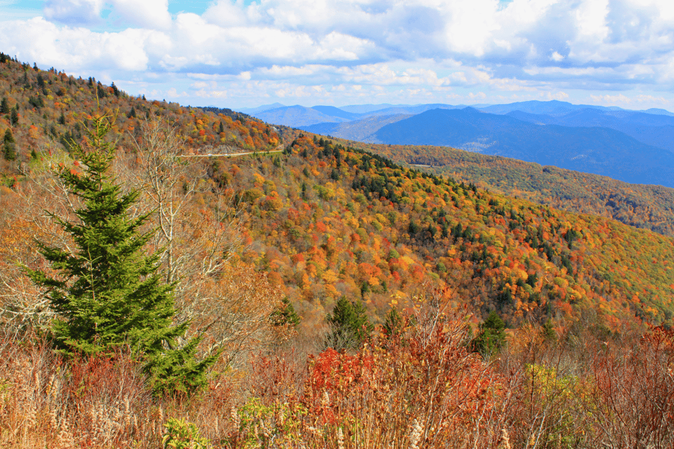 Blue Ridge Parkway Cherokee to Asheville Driving App Tour GetYourGuide