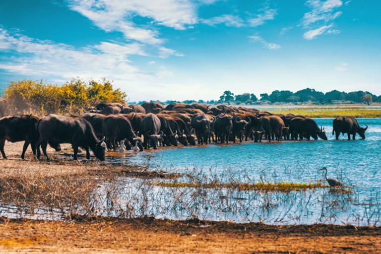 Cataratas Victoria: Aventura definitiva con cena crucero al atardecer