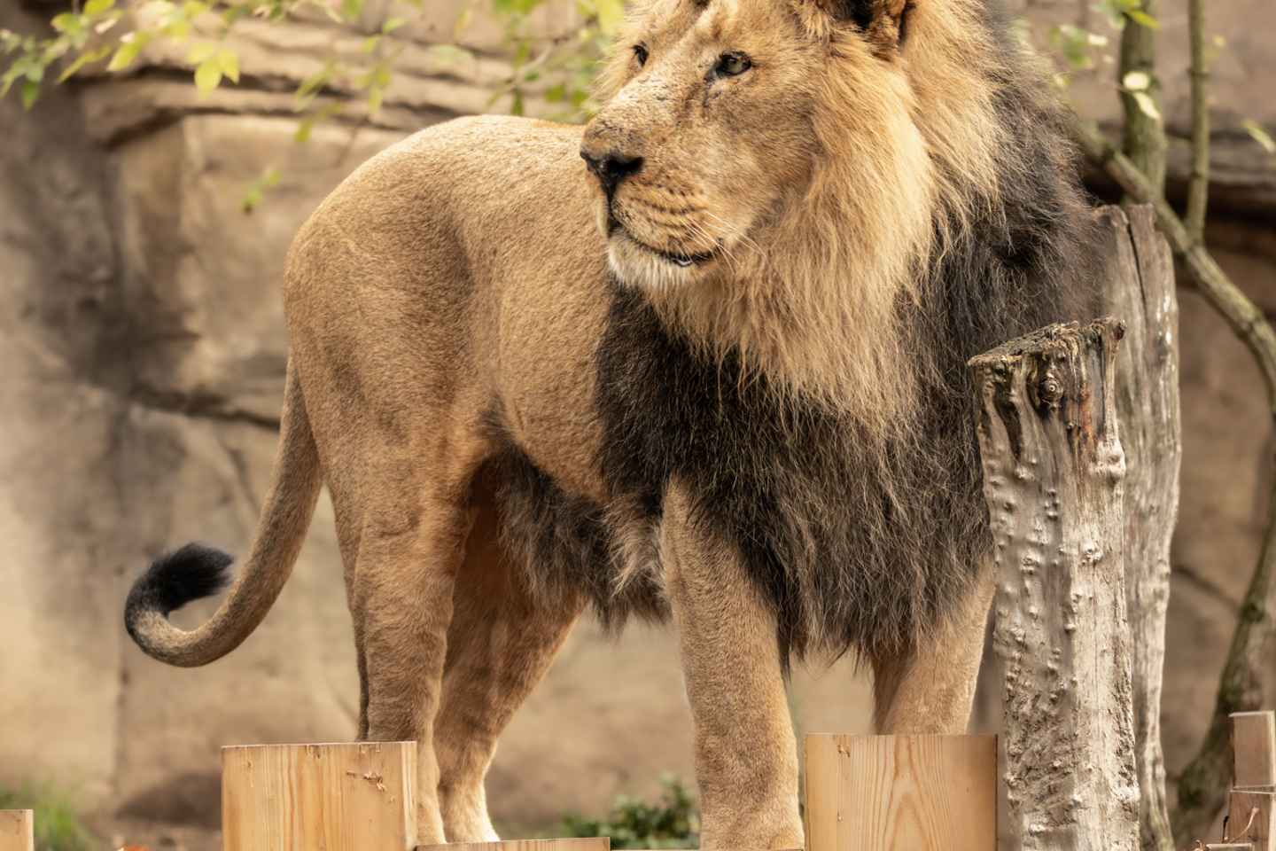 런던 동물원 입장권 예약