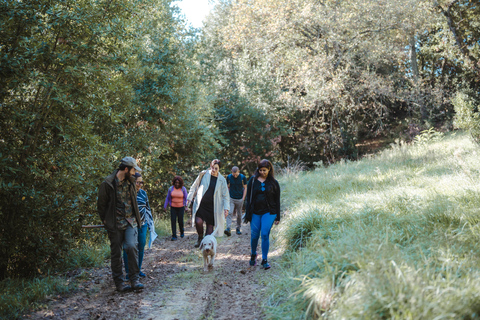 Firenze: caccia al tartufo con pranzo, vino e San GimignanoFirenze: Caccia al tartufo con pranzo, vino e San Gimignano