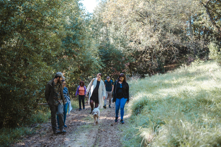 Firenze: caccia al tartufo con pranzo, vino e San GimignanoFirenze: Caccia al tartufo con pranzo, vino e San Gimignano
