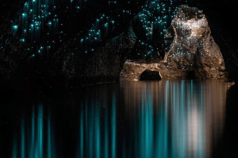 Au départ d'Auckland : Visite des grottes de Waitomo et de la maison des Kiwis