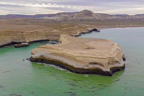 El Calafate: Monte León 4x4 Wolves and Penguins Excursion