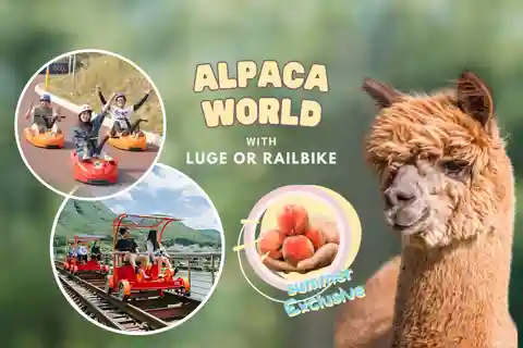 Depuis Séoul : Ferme d'alpagas avec vélo sur rail/ course de luge