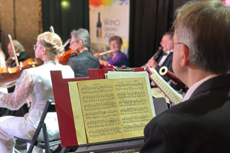 在格但斯克欣赏现场音乐会，绘画和品酒！格但斯克绘画和葡萄酒体验（含现场音乐会）！