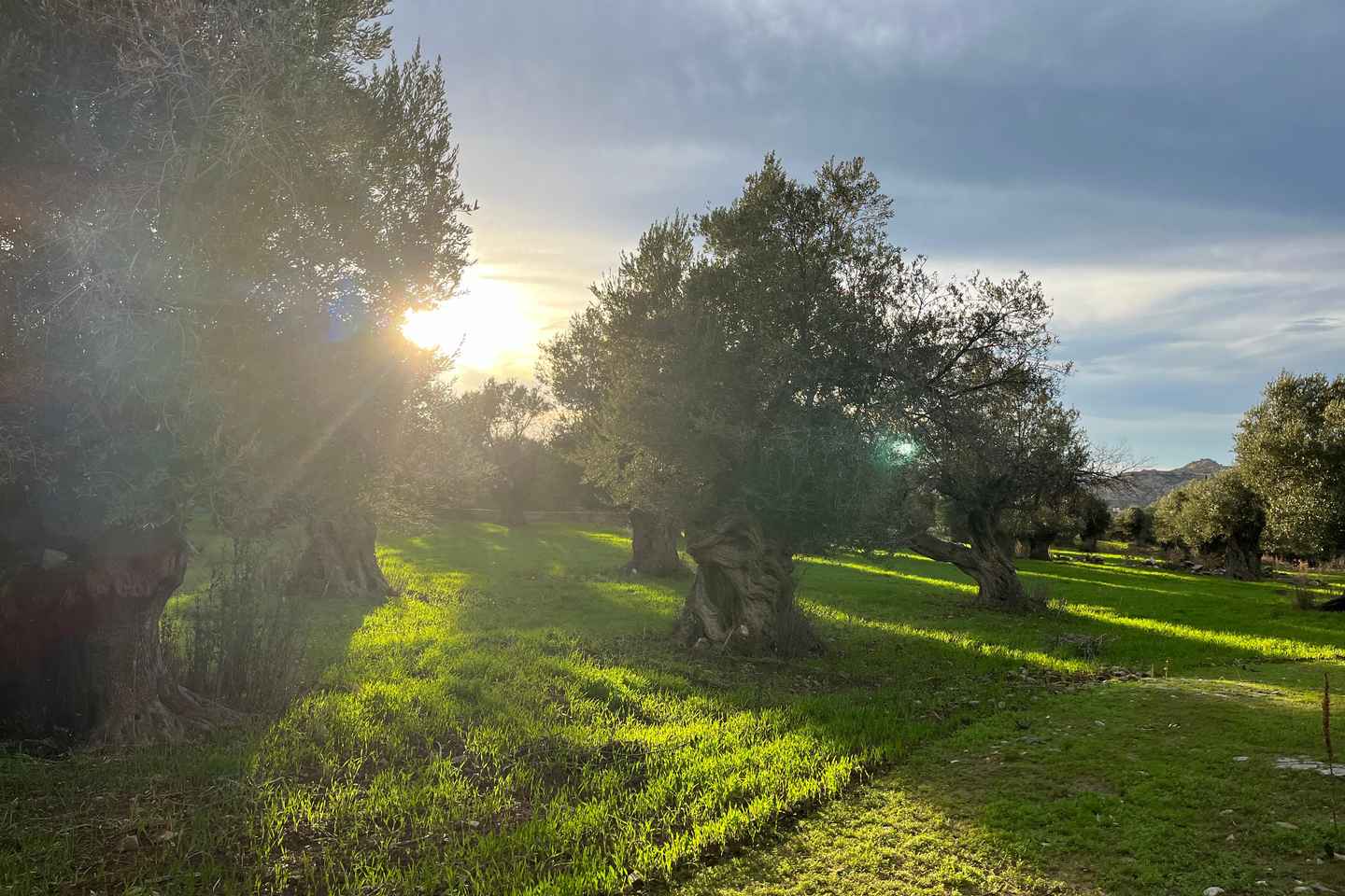 Naxos: Island Tour with Private Car and Driver