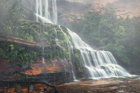 Private Blue Mountains, Scenic World & Wentworth Falls Tour Fully Private & Premium Experience