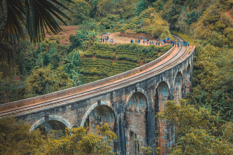 Sri Lanka: 5-Day Private Tour with Chauffer