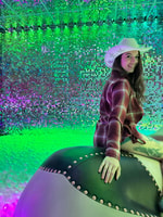 Fête privée à Slick Dick's Wild Ride - Housity