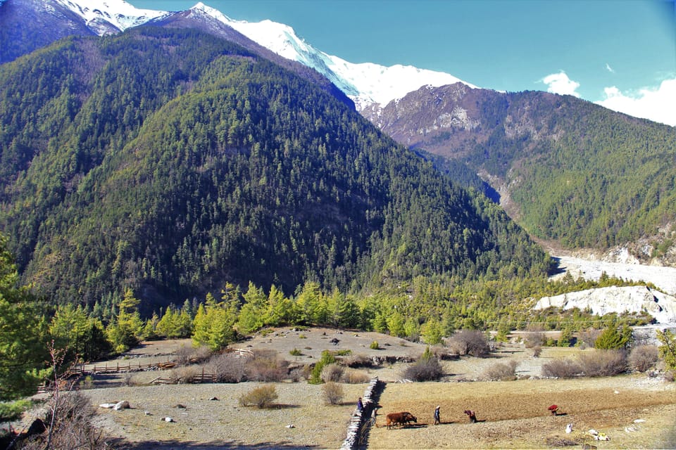 Desde Pokhara Excursi N En Helic Ptero Al Templo De Muktinath