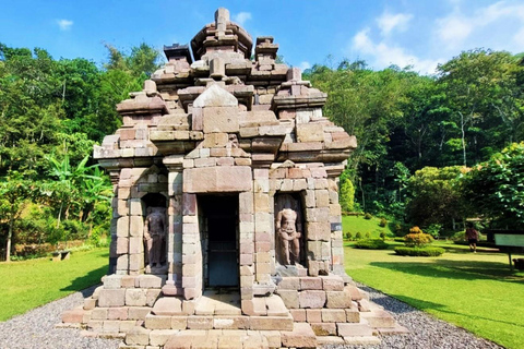 Yogyakarta: Tempio di Selogriyo e terrazza di riso Soft Trekking