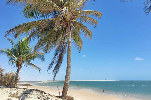 Explora Atins: laguna, dunas y pueblo con encanto.Explora Atins: laguna, dunas y un pueblo con encanto