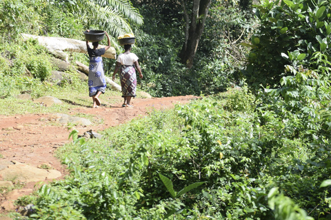 Tanzania: 8-Day Road Trip to Kilimanjaro, Lushoto & More