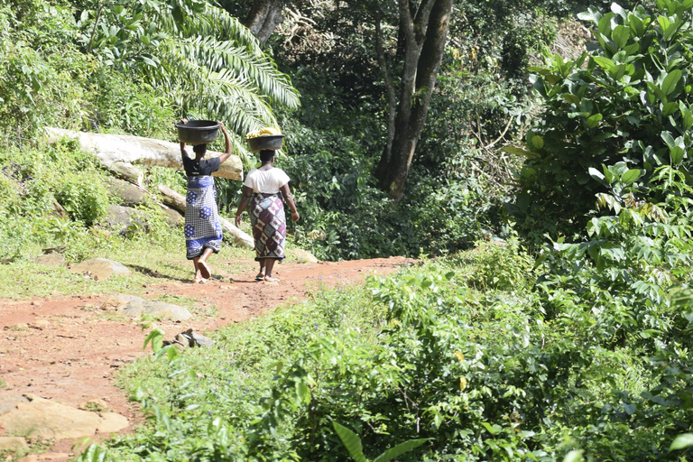 Tanzania: 8-Day Road Trip to Kilimanjaro, Lushoto & More