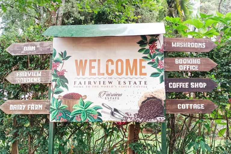 Nairobi: Fairview Coffee Estate Tour & Tasting