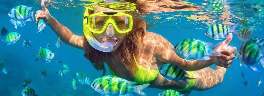 Fort Walton : Découverte des dauphins et croisière de plongée en apnée