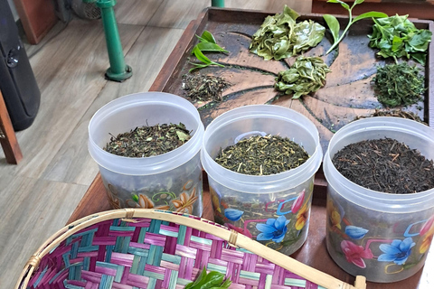 Ella: Organic Tea Plantation Tour with Tea Making & Tasting
