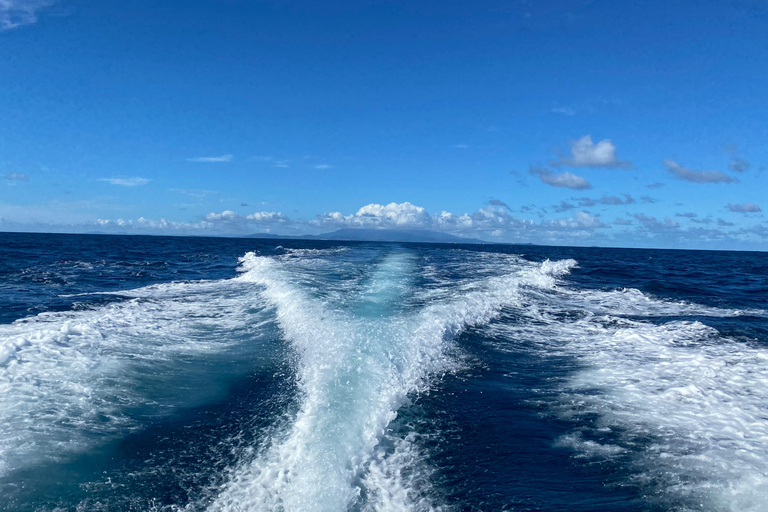 From Fajardo: Icacos Island Boat Trip and Beach Day Package