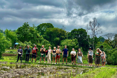 Chiang Mai: 2-Days Jungle Trek, Waterfalls and Karen Village