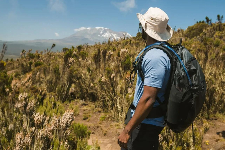 Moshi/Arusha: Kilimanjaro Day Trek~Lemosho, Marangu, Machame Arusha : Machame route day hike