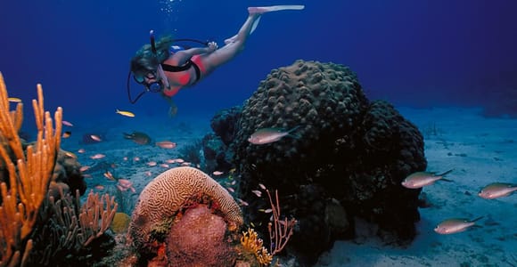 Try Scuba Diving in Racha Yai/Noi: 3 Dives for Non-Certified