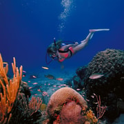 Try Scuba Diving in Racha Yai/Noi: 3 Dives for Non-Certified Try Scuba Diving in Racha Yai/Noi: 3 Dives for Non-Certified