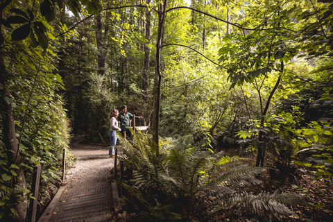 Queenstown: Kiwi Park biljett för inträde