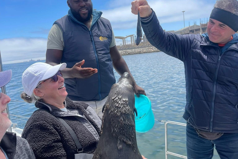 Walvis Bay: 4-Day Desert, Ocean, and Adventure Tour