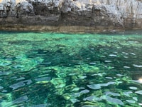 Saint-Jean-Cap-Ferrat, French Riviera Luxury Cruise - Housity