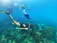 Phu Quoc, Small-Group Pro Snorkeling Tour by Speedboat - Housity