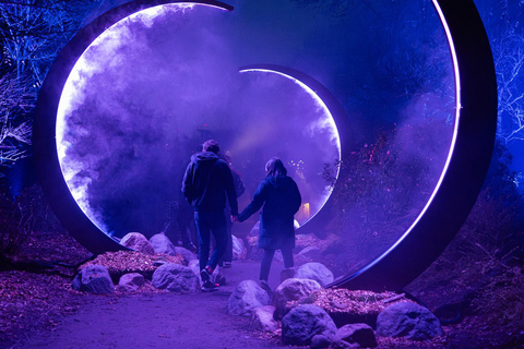 Astra Lumina Entry at Currumbin Wildlife Sanctuary