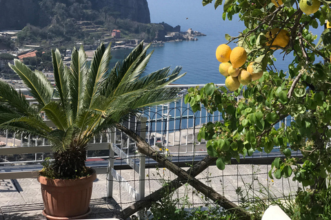 Sorrento: Authentic & Fun Cooking Class in a sea view Villa