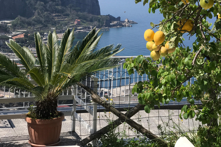 Sorrento: Authentic & Fun Cooking Class in a sea view Villa