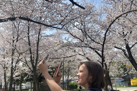 Osaka: Springtime Sakura Picnic "Hanami"