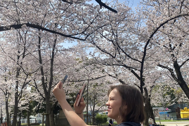 Osaka: Springtime Sakura Picnic "Hanami"
