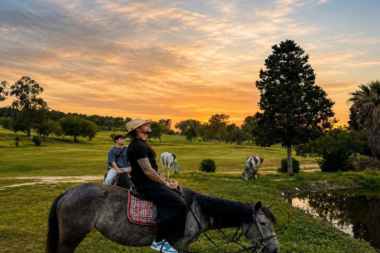Hammamet: Sunset Horseback Riding Experience with Cocktail