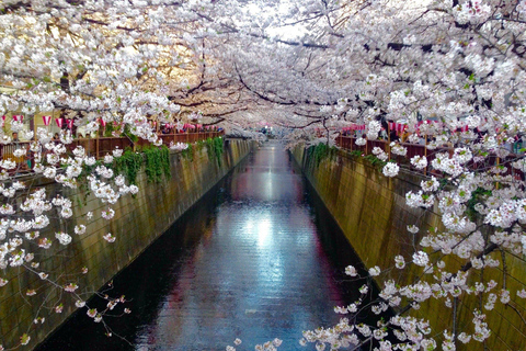 Tokyo: Private City Highlights Tour with Guide