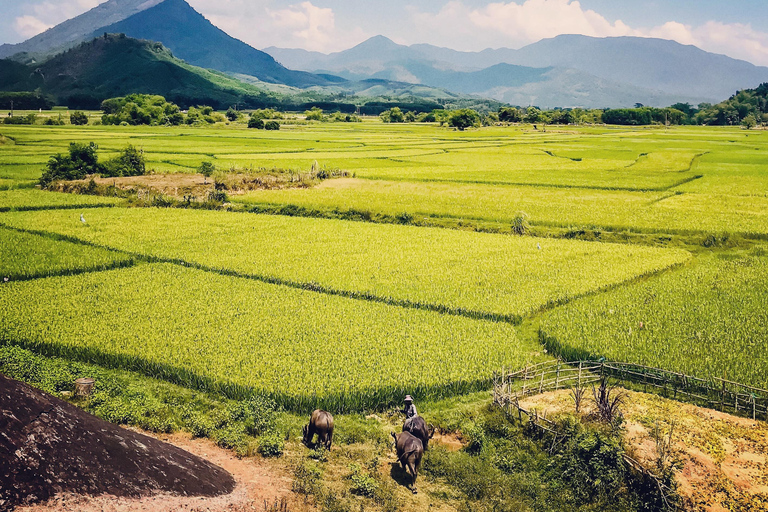 Circuit en boucle Easy Rider depuis Hoi An, Da Nang via le col de Hai Van