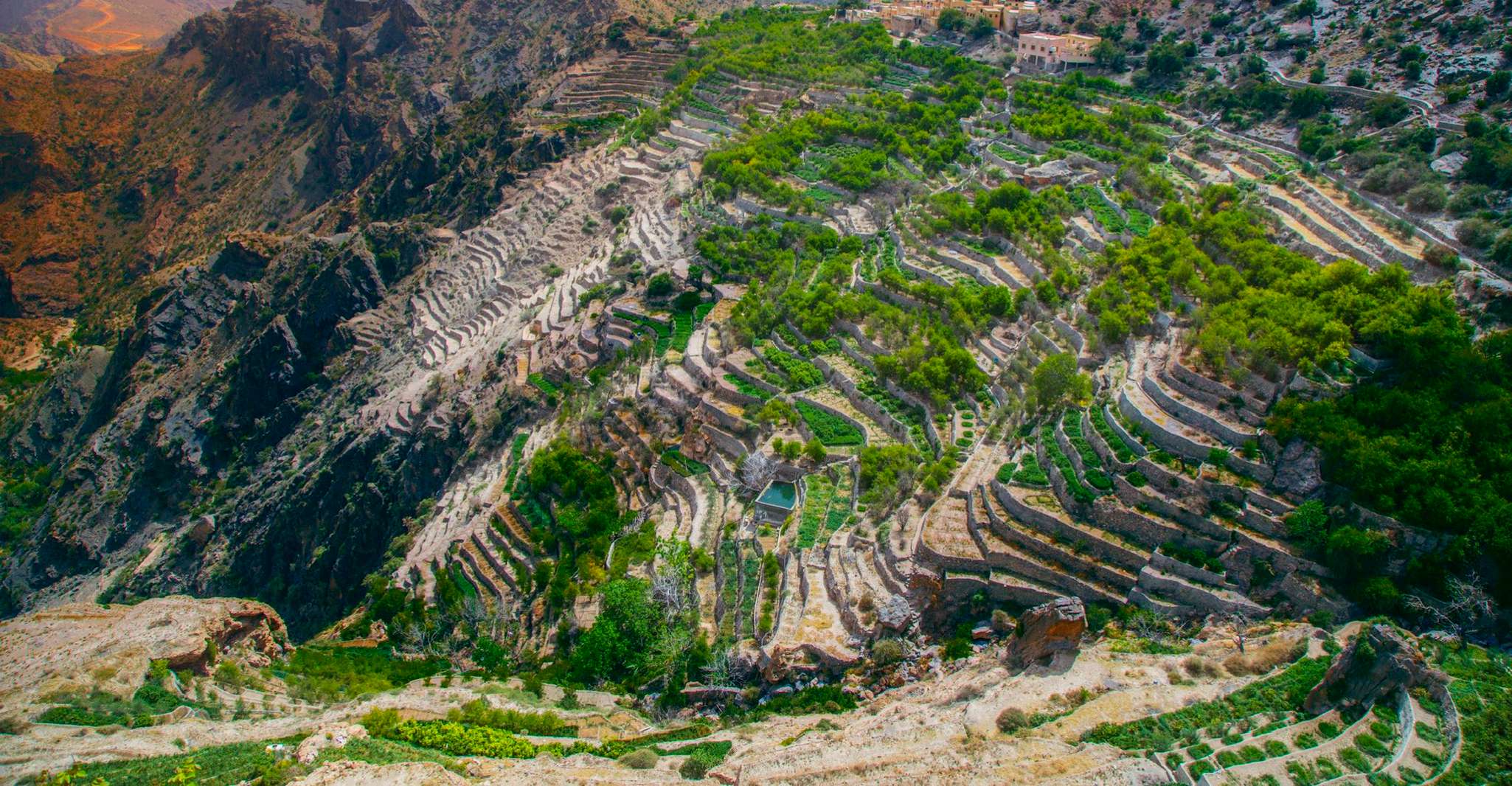 Desde Muscat, Nizwa Souq-Fort y Jabel Akhdar o Shams - Hizvo
