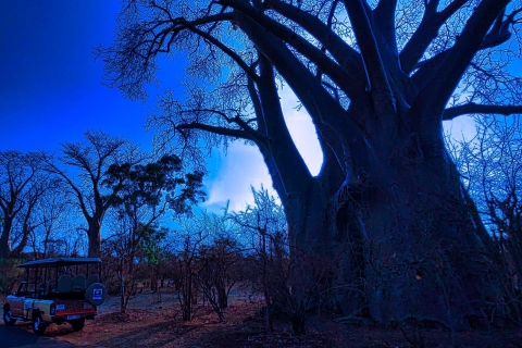 Parque de las Cataratas Victoria: Paseo nocturno en 4x4 por los baobabs con linternaCataratas Victoria: Baobab Night Drive en 4x4