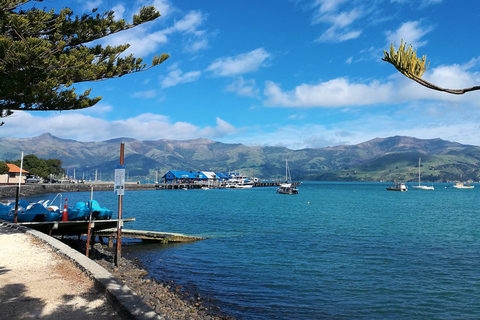 Visite d'une journée privée de Christchurch à AkaroaChristchurch to Akaroa Private Day Tour
