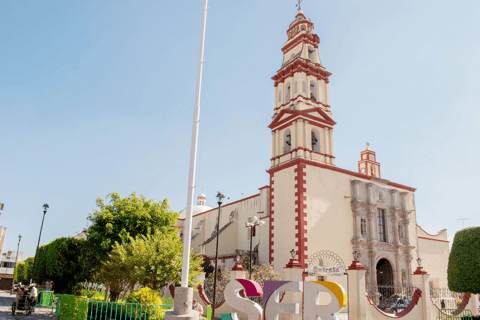 De León: City tour por terra