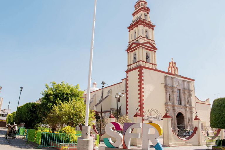 Desde León: Tour de la ciudad por tierra