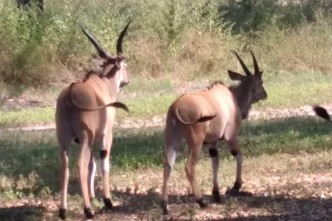 Safari i odkrywanie: rezerwat Bandia i laguna Somone